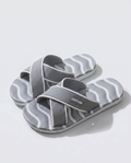GRAY - JAPSON SLIDES